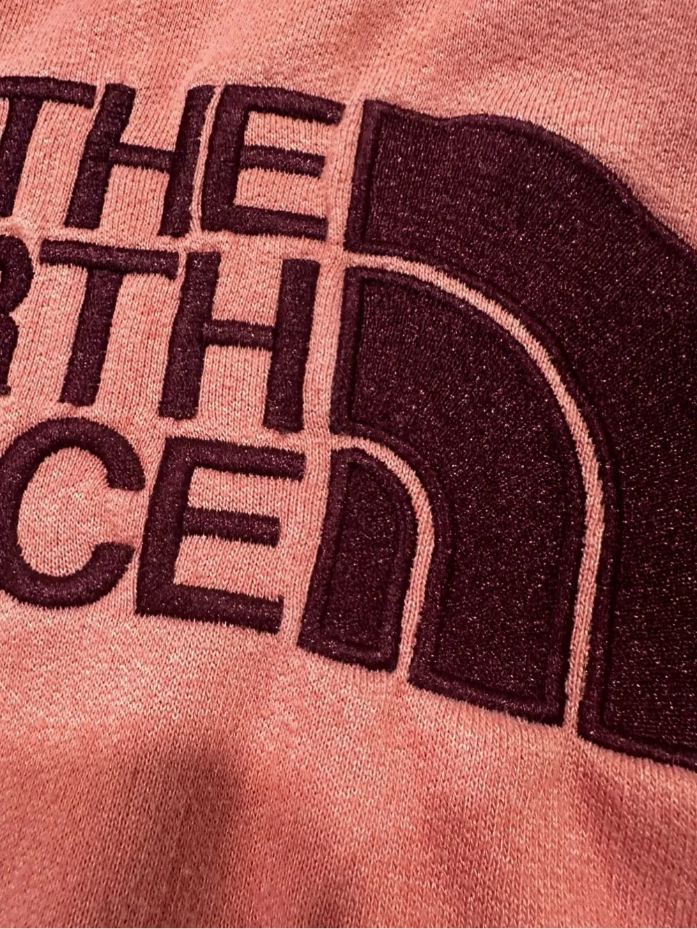 The North Face woman’s ‎ Coral Hooded Sweatshirt embroidered logo Size Large